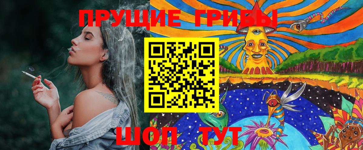 Иркутск  Галлюциногенные грибы прущие грибы  Вход с VPN 
